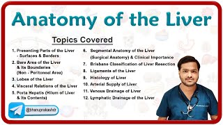 Anatomy Of The Liver By Dr Abhijeet