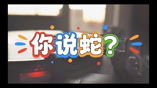 冼都中文 - 你说蛇？