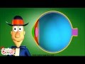 Understanding Eye Functions and Vision
