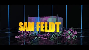 Sam Feldt - Post Malone (Feat RANI) - Alex Fosse Remix