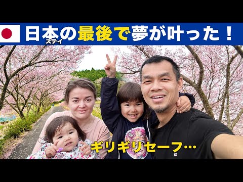 【日本編最終話】視聴者さんのお陰で…出国直前、奇跡的に「満開の桜並木」を見れました！