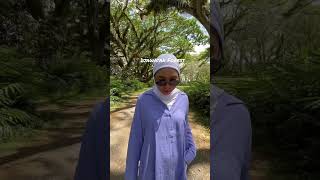 Beautiful Hutan Djawatan Banyuwangi