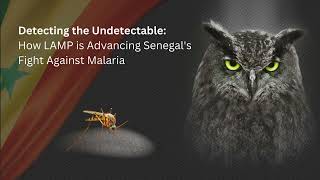 Malaria-LAMP - A Game Changer for Malaria Detection in Senegal