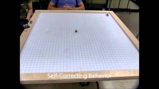 CDCL Swarm Robotics