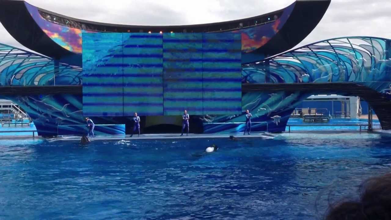 One Ocean! Shamu Show- Sea World Orlando 2012 - YouTube