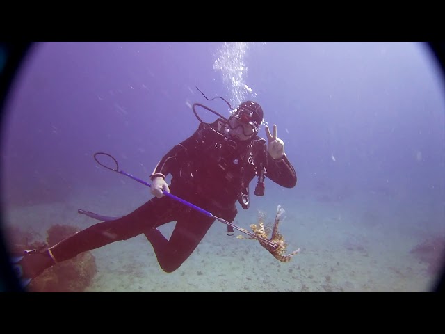 DAUGHTER SPEARS A HUGE LIONFISH