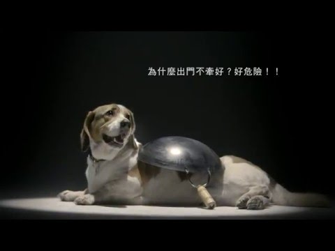 行政院農業委員會 飼主教育廣告 背黑鍋篇 40秒 HD