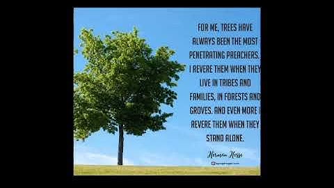 NSTP performance task tree planting