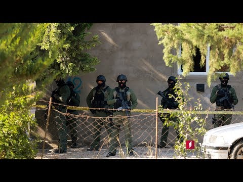 კანონიერი ქურდების დაკავების ოპერაცია