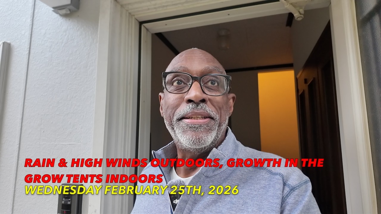 Rain & High Winds Outdoors + New Growth Indoors