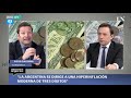 Diego Giacomini, economista: "El Banco Central es un estafador serial"