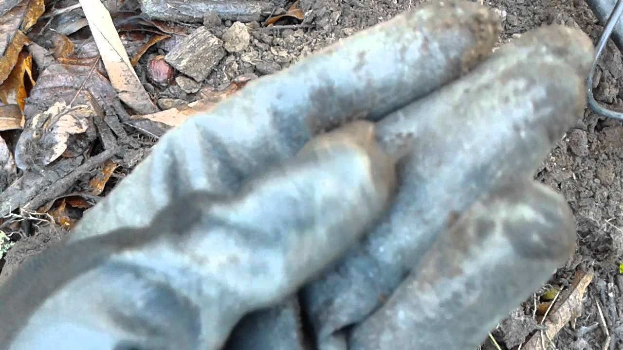 Metal detecting Portugal Roman coin YouTube