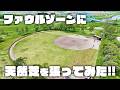 【球場が進化】ファウルゾーンに天然芝を張ってみた!!
