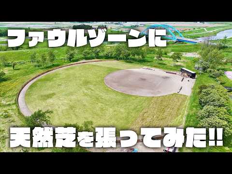 【球場が進化】ファウルゾーンに天然芝を張ってみた!!
