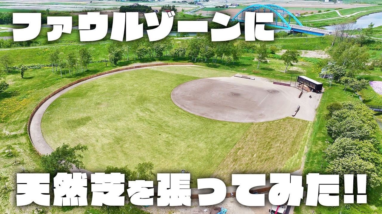 【球場が進化】ファウルゾーンに天然芝を張ってみた!!
