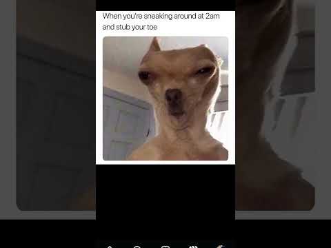 Some Fun Time Memes Fun Time Subhi