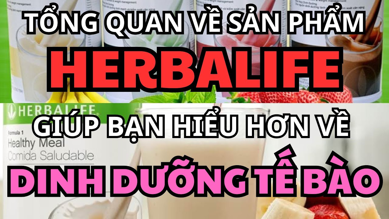 Ngày 23 - Tổng quan về sản phẩm HERBALIFE giúp bạn hiểu hơn về DINH DƯỠNG TẾ BÀO là gì