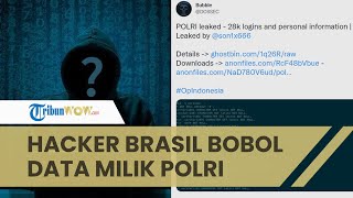 Hacker Asal Brasil Klaim Bobol dan Bocorkan Data Milik Polri, Bentuk Dukungan untuk Rakyat Indonesia screenshot 5