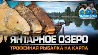 Янтарное озеро • Ловля Карпов • Русская Рыбалка 4