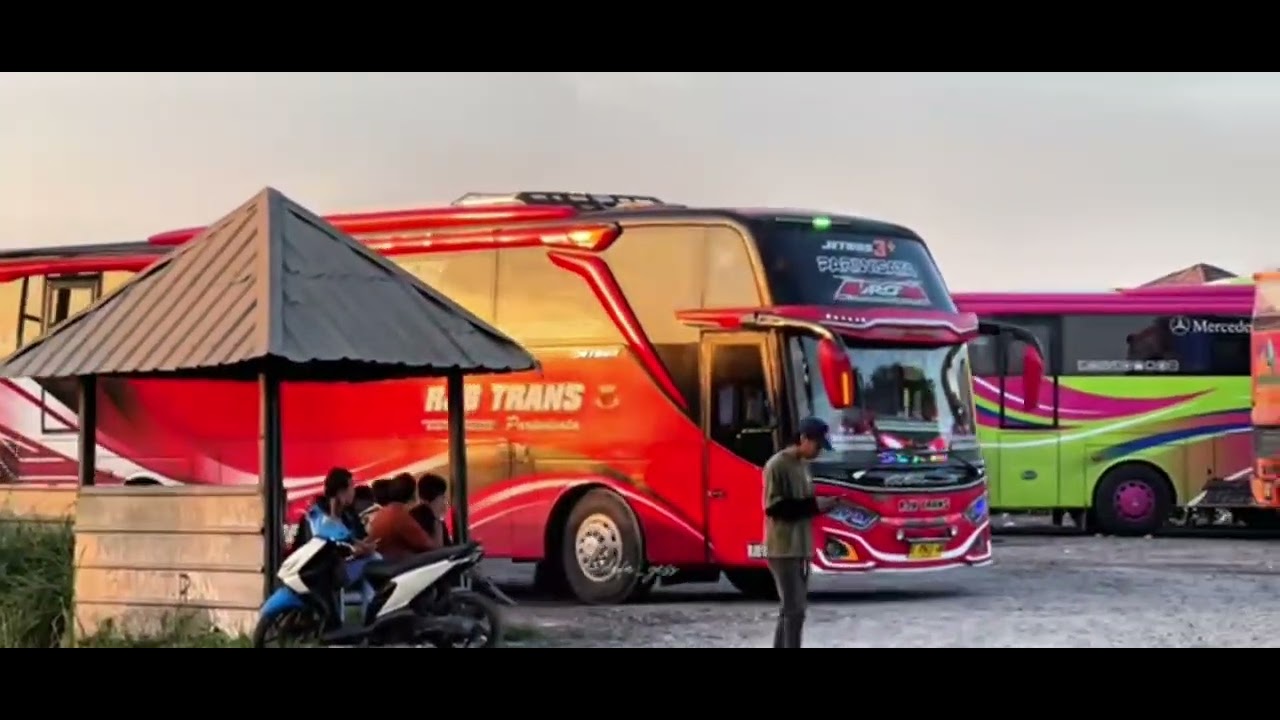 Pada gacor cuy,jangan lupa subscribe,like,and komen bus Basuri artis