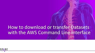 SPARC AWS Tutorial Part 4: How do download or transfer Datasets with AWS