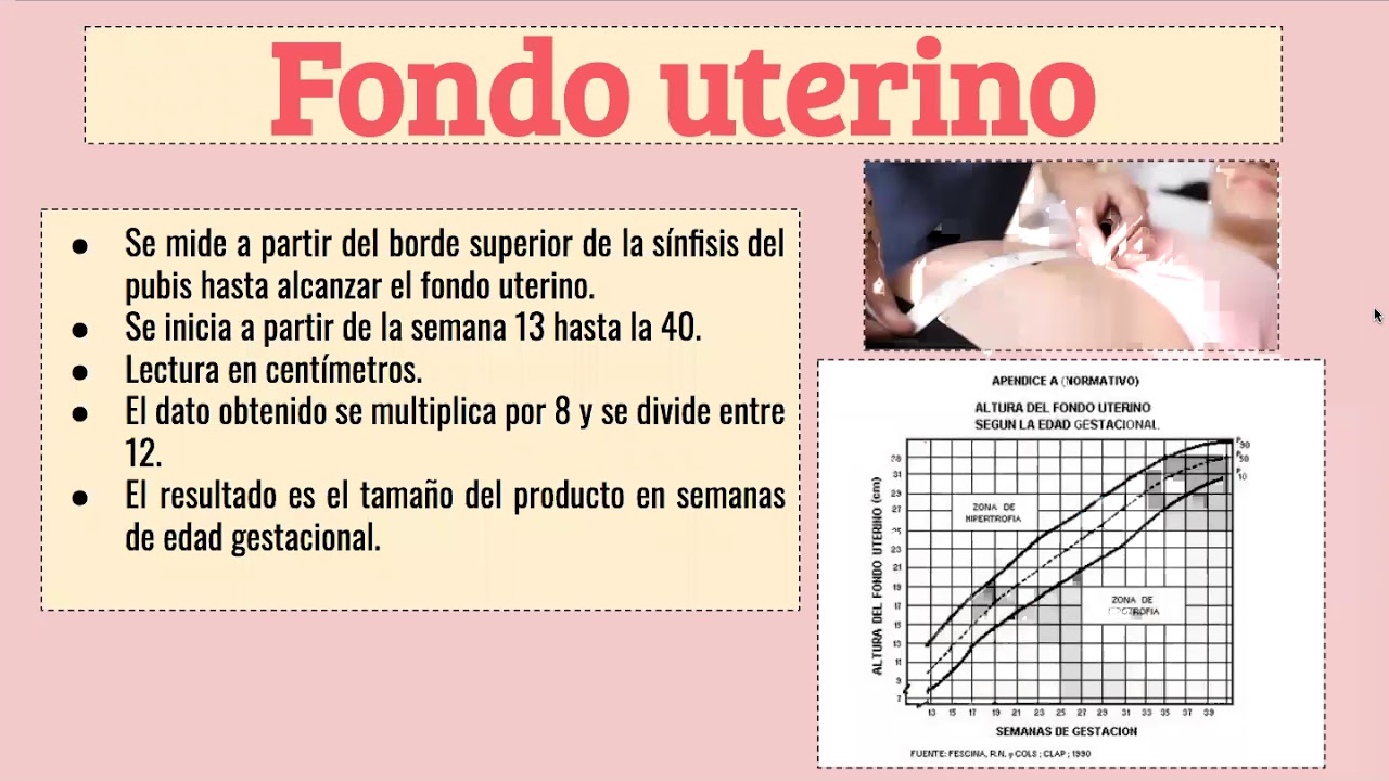 ESTADO NUTRICIONAL POR ETAPAS DE LA VIDA: EMBARAZO. - YouTube