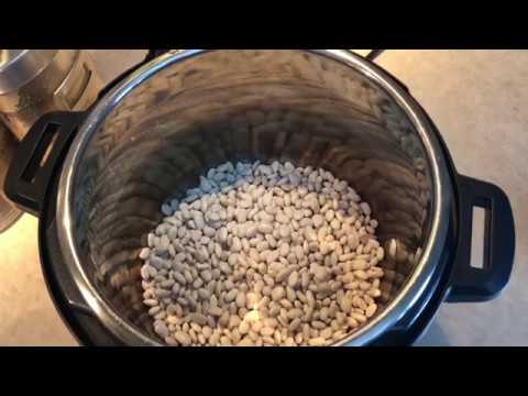 How you can Pressure Prepare Great Northern Beans