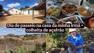 Passeio na casa da minha irmã/almoçamos com ela+arrancamos nosso açafrão 