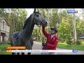 Сюжет телеканала "Россия 1" для программы "Утро" о конном спорте и коннозаводстве