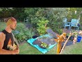 #3 Wildlife pond upcycling                              #nature #wildlife #animals #cat