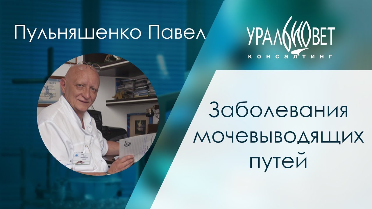 Заболевания мочевыводящих путей. Пульняшенко Павел #убвк_нефрология