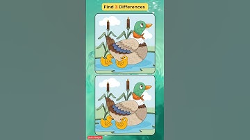 Spot The Difference | Find 3 Differences!