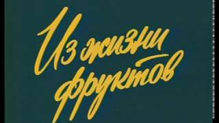 Следствие ведут знатоки: Из жизни фруктов (дело № 16, часть 1 1981 г.)