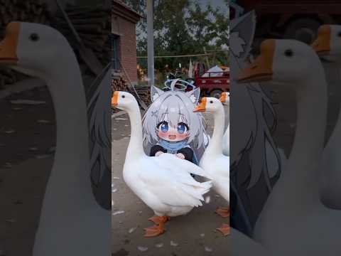 あひると仲直りが可愛い😍 #ai動画 #aichibi #shiroko #白子 #cute