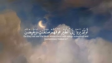 سورة الملك بصوت القارئ ماهر المعيقلي #عبدالرحمن_مسعد #قرآن #اكسبلور #راحة_نفسية