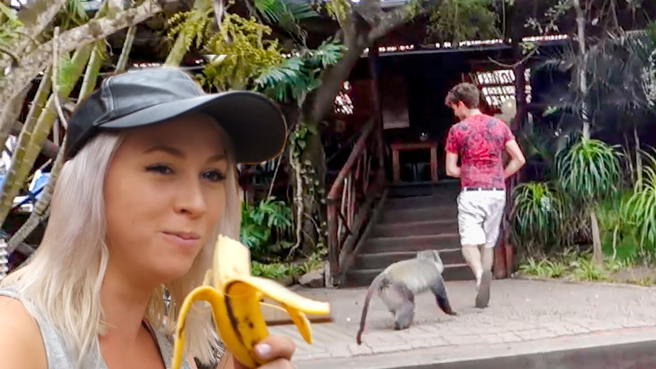 CHASED BY CRAZY MONKEYS!! Sodwana Bay in South Africa