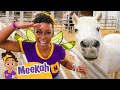 Fairy Meekah Grants Wishes to Animals at the Zoo! | Meekah Full Episodes