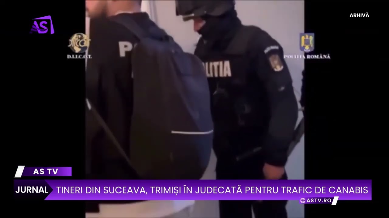 Tineri din Suceava, trimiși în judecată pentru trafic de canabis