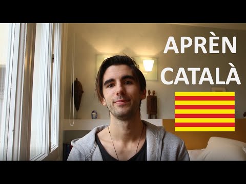 Past Tenses in Catalan | Super Easy Catalan 11
