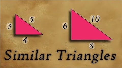 🔴 Similar Triangles Explained | ICSE Class 10 Selina