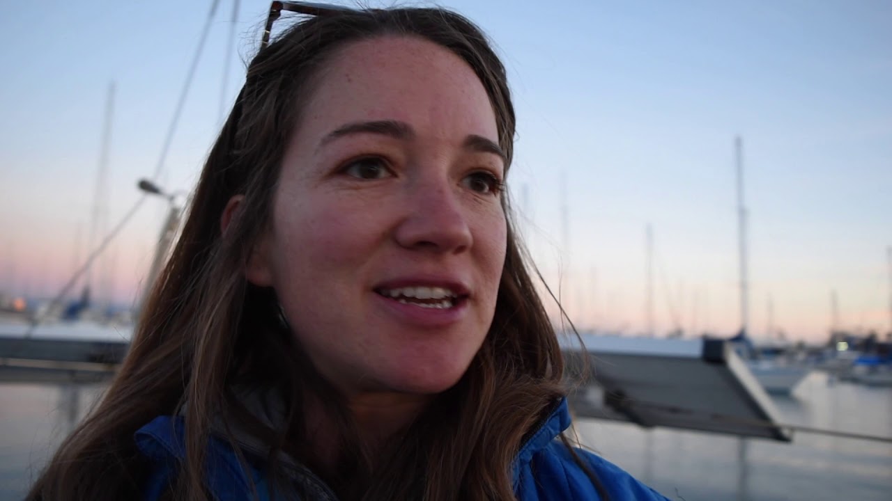 Episode 3 Storm watch, sea lions, and cooking fails (Wing N It)
