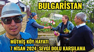 Bulgaristan Rengarenk Laleler ile Kaplı Köy Bahçesi | Kırcaali Ördekler Köyü 2024