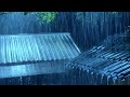 Sleep Instantly with Heavy Rain on a Tin Roof & Crazed Thunderstorm on Metal Roof in Forest at Night