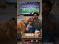 Man of the Match 🏆🐶#DogFootball #Soccer #ViralShorts #PetComedy #Trendings #footballmemes #usa