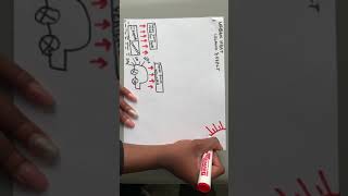 ENG2003 Assignment 7 Ezinne Aniakor