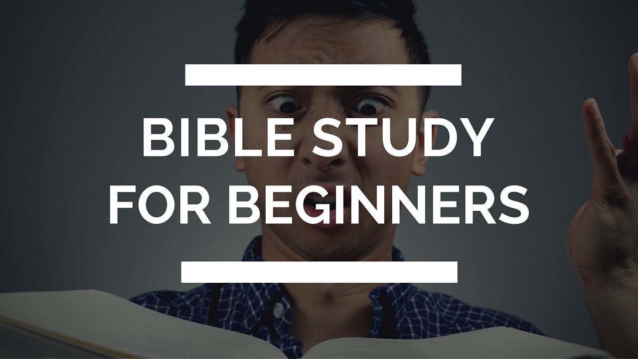 How To Study The Bible For Beginners 5 Tips For Beginners Christian