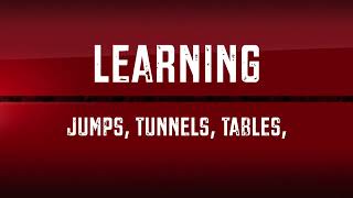 Agility FUNdamentals Feb. 27th, 2026