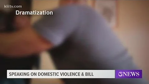 Bill aimed at protecting domestic violence survivors vetoed by Governor Abbott