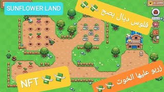 احسن بلان💸💸 كين دابا لعاقة ديال بصح💸💸💸زربو عليها  ف SUNFLOWER LAND screenshot 4