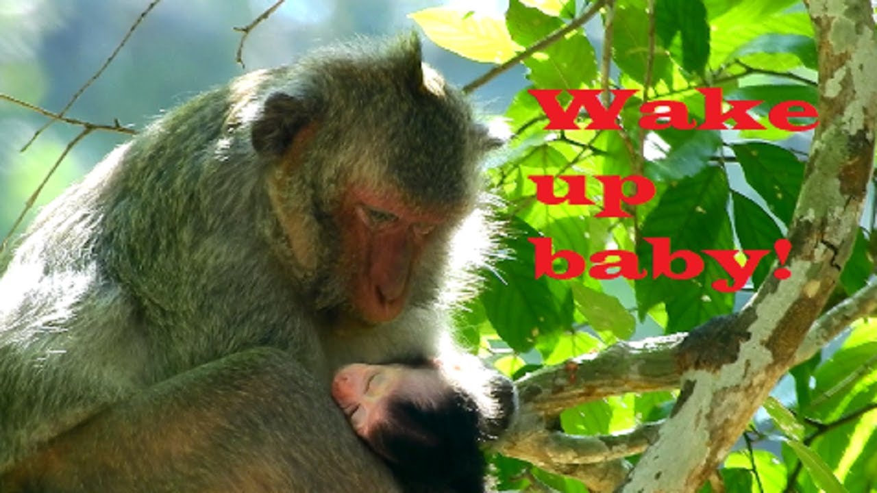 Poor Jayden !! Jade so worry on baby cos sleep feeling weakness, Mum wake baby up quickly